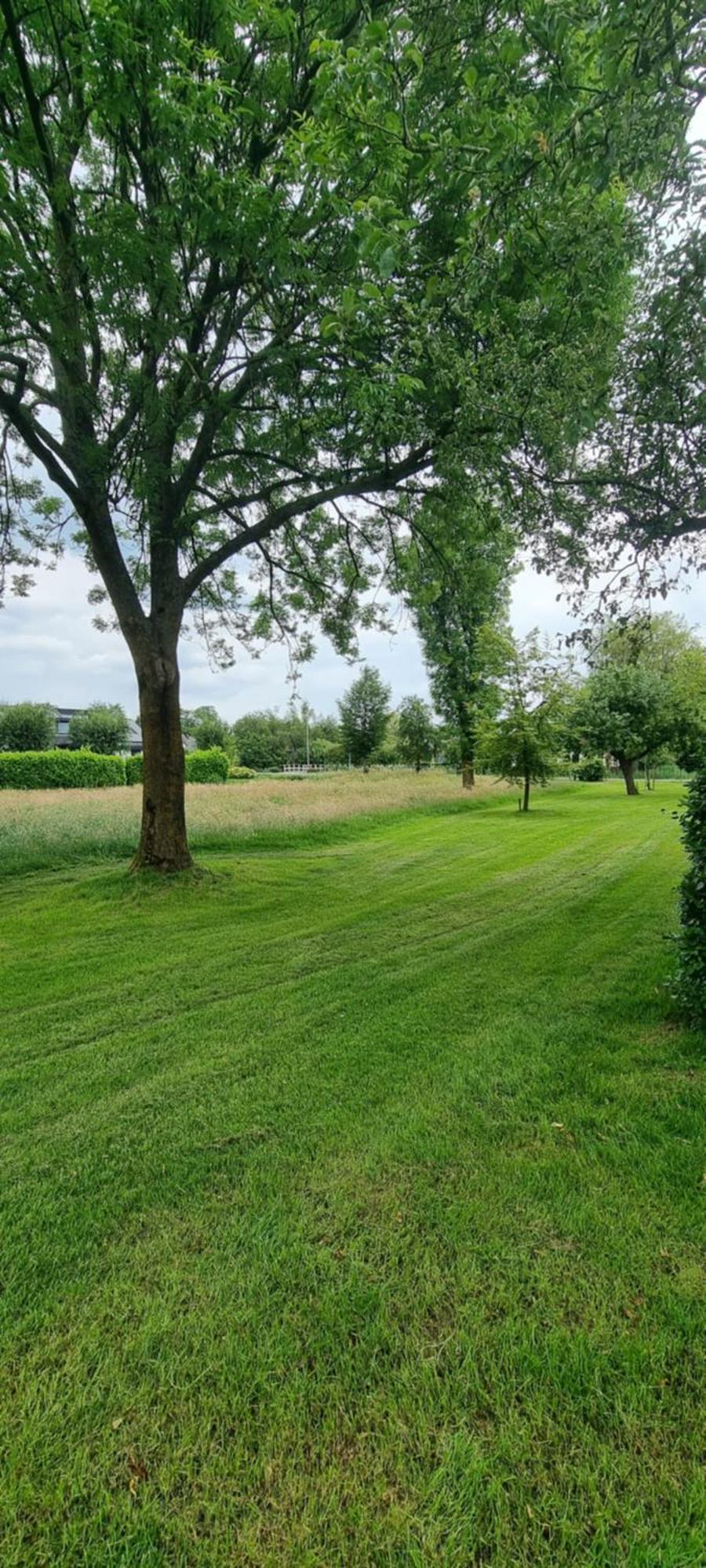 Beautiful Renovated Farmhouse Ankeveen Exterior photo